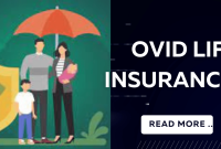 Ovid insurance